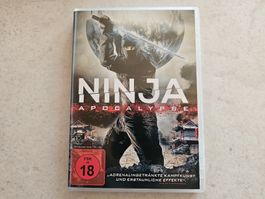Ninja Apocalypse  /  Adrenalingetränkte Kampfkunst