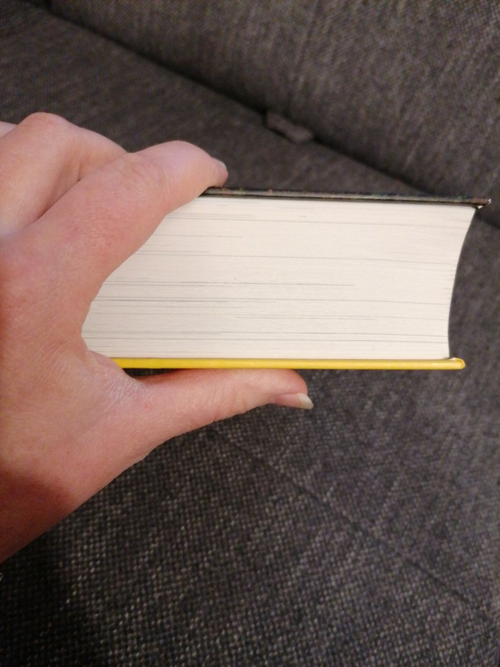 Libri: Das grosse Ulmer Gartenlexikon – Usato da Büttikon AG venduto da Amineah 4