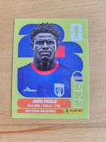 Panini WM 2026 CPV 8