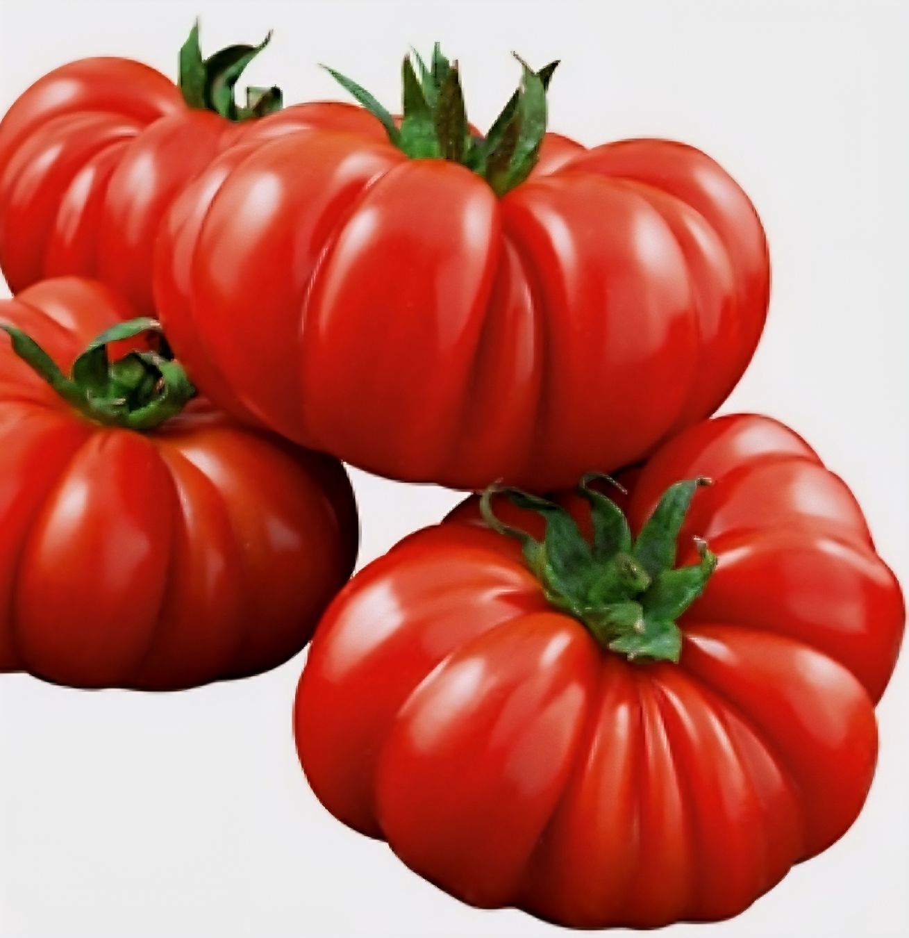 Piante & sementi: 10 Samen Florentiner Tomate 10 Graines Tomate Florentine – Nuovo e nell'imballaggio originale da Rovio venduto da POSITIFFARTandPLANTS