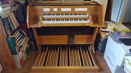 Elektronische Orgel Viscount Domus 830