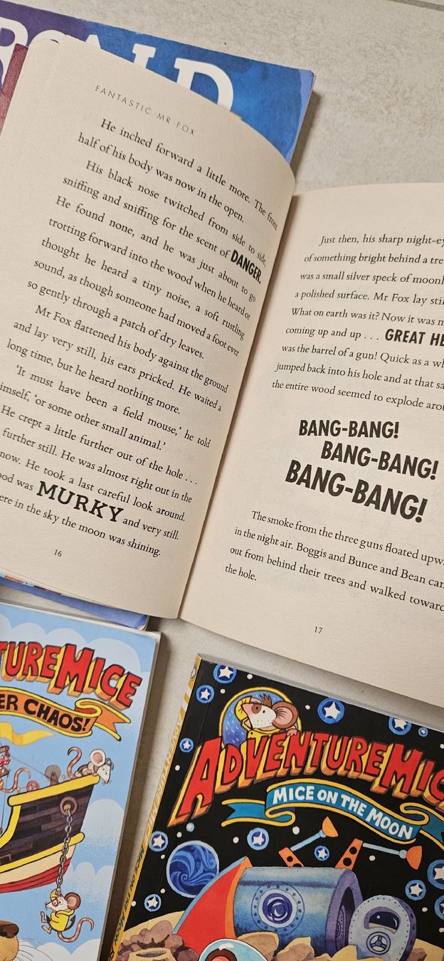 Libri: 10 Englische Kinderbücher – Usato da Menziken venduto da Muri.elscha 2