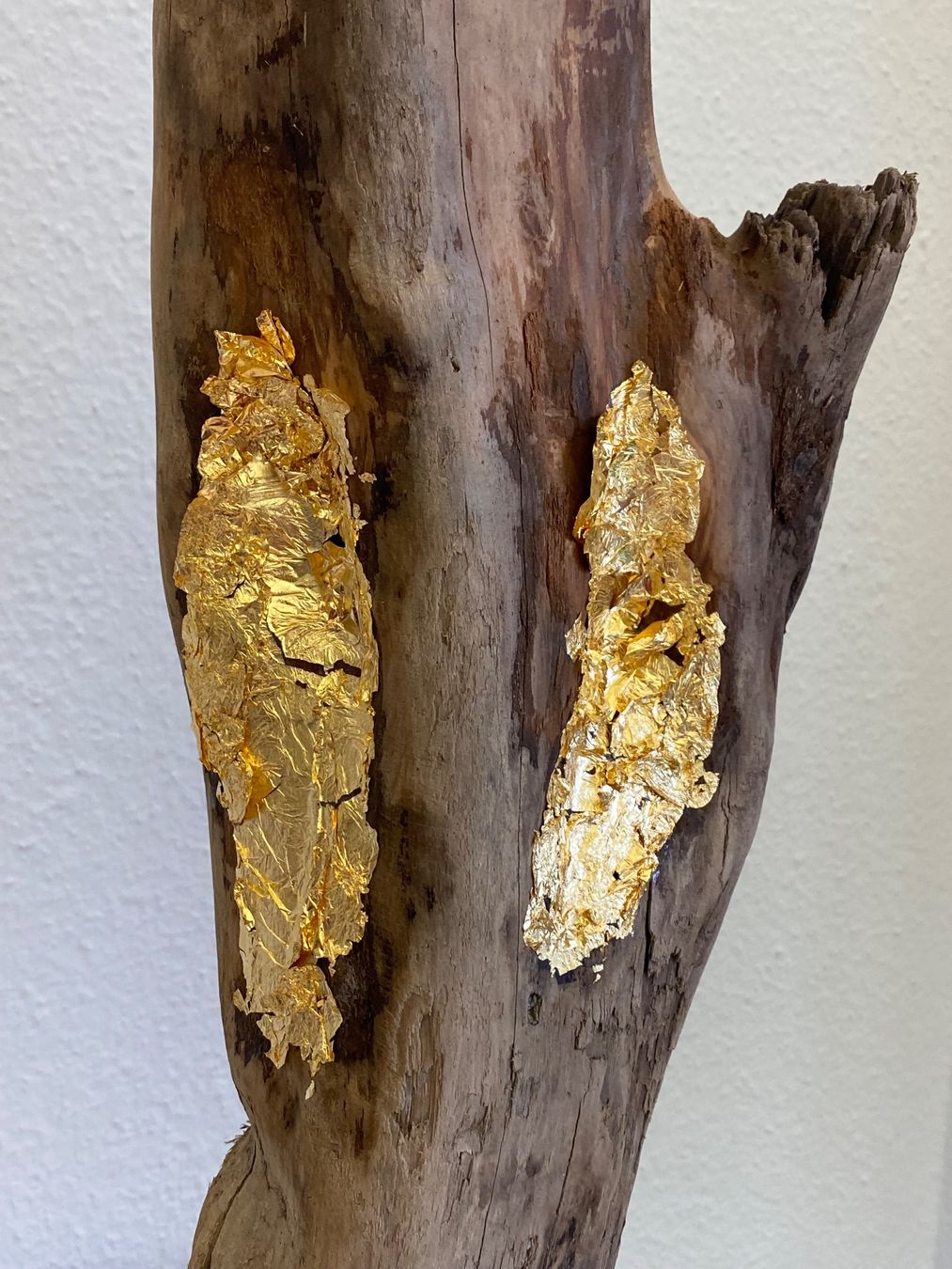 Alle Dekorationen: Treibholz Kunstobjekt ‚Gold‘ ein Hingucker! – Gebraucht aus Lachen SZ von JLO-Creations 1