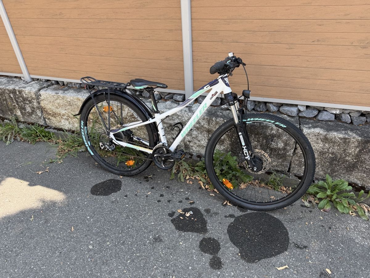 Wheeler Velos: Wheeler Mädchen Bike – Gebraucht aus Sirnach von Chulio 9