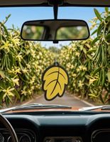 Duftbaum Wunderbaum Herbstblatt Duftnote Vanille