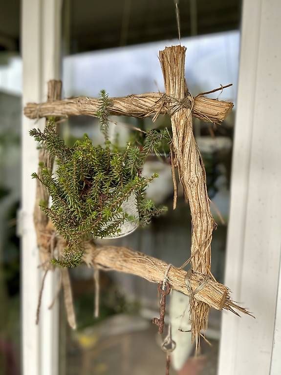 Plantes & graines: Sukkulenten im Rahmen  – D'occasion à Frauenfeld par Irene.Schuppli 4