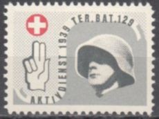 Territorial-Truppen Wi 195 *