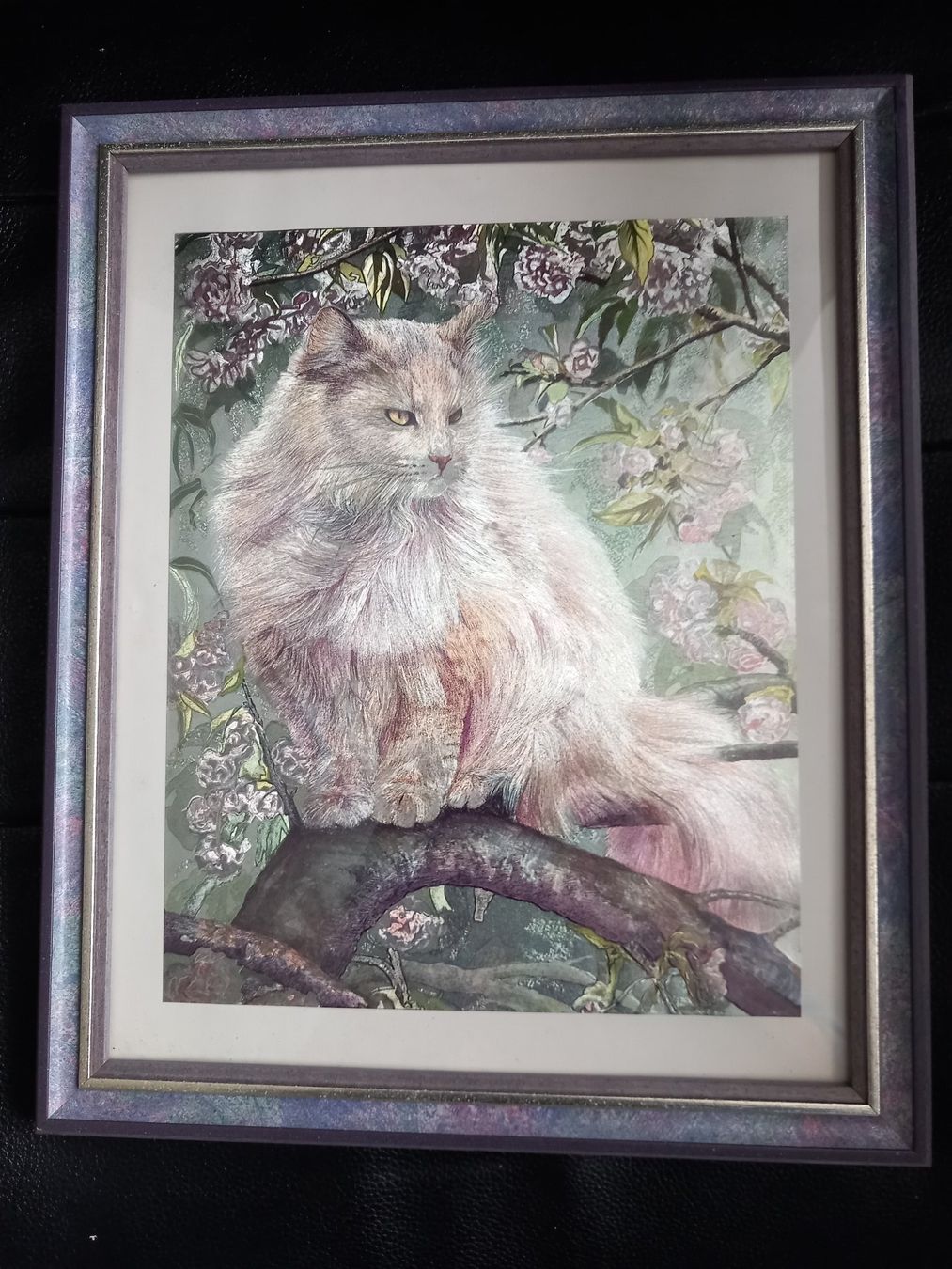 Foto & Immagini: gerahmtes Katzenbild in Perlmutt Optik – Usato da Lindau venduto da san_kg2j