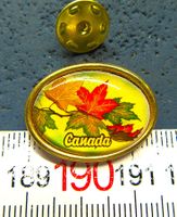 CANADA PIN GOLDIG GLASIERT