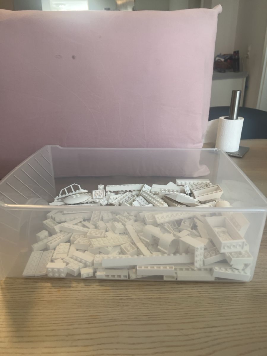 Lego Giocattoli: Bausteine weiss Konvolut gebraucht – Usato da Böckten venduto da fur_gh7q