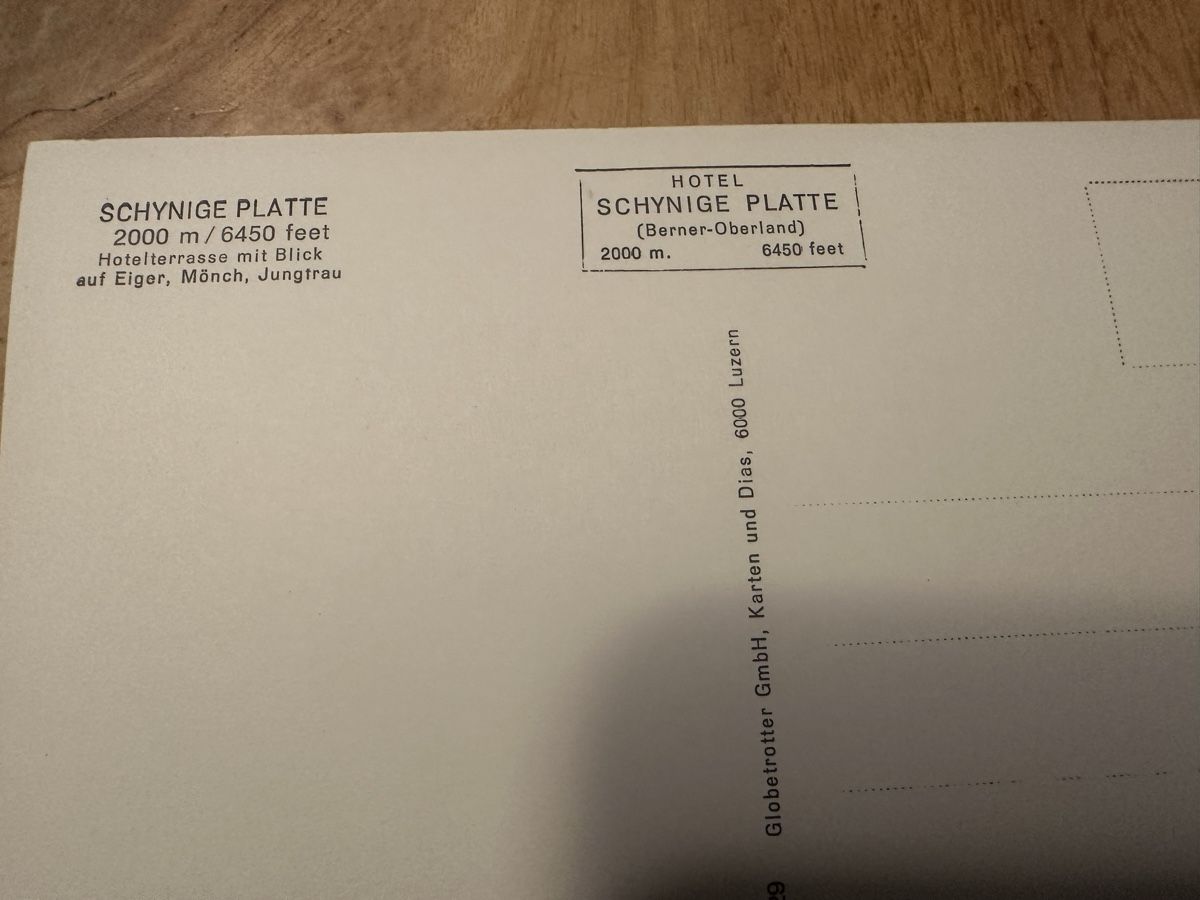 Cartoline postali: Schynige Platte,Rest.Terrasse, Touristen – Usato da Frauenfeld venduto da aluma14 3