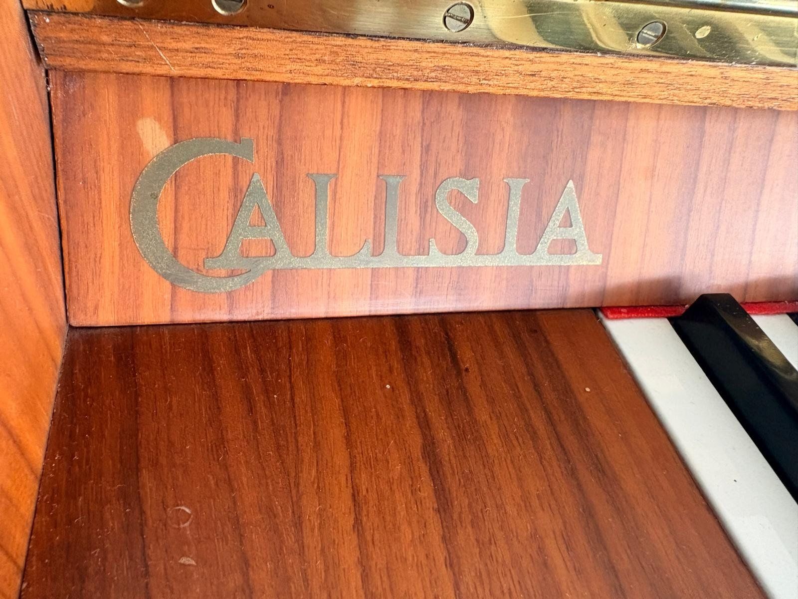 Strumenti musicali: Piano droit Calisia – Usato da Corminboeuf venduto da mar_g2kt 5