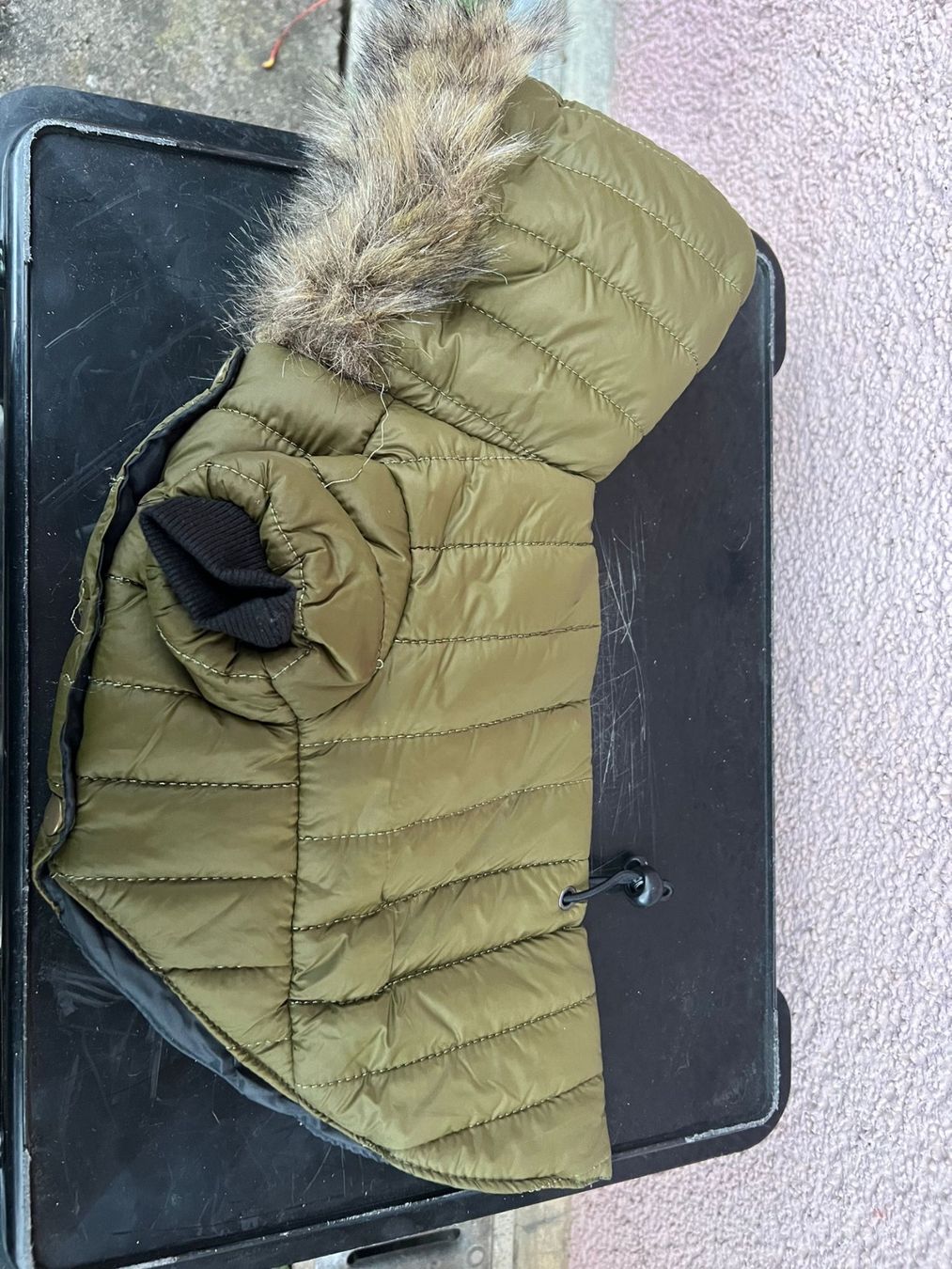 Bekleidung: Hundemantel olivgrün – Gebraucht aus Egg b. Zürich von Brocki_Insel_Egg 1