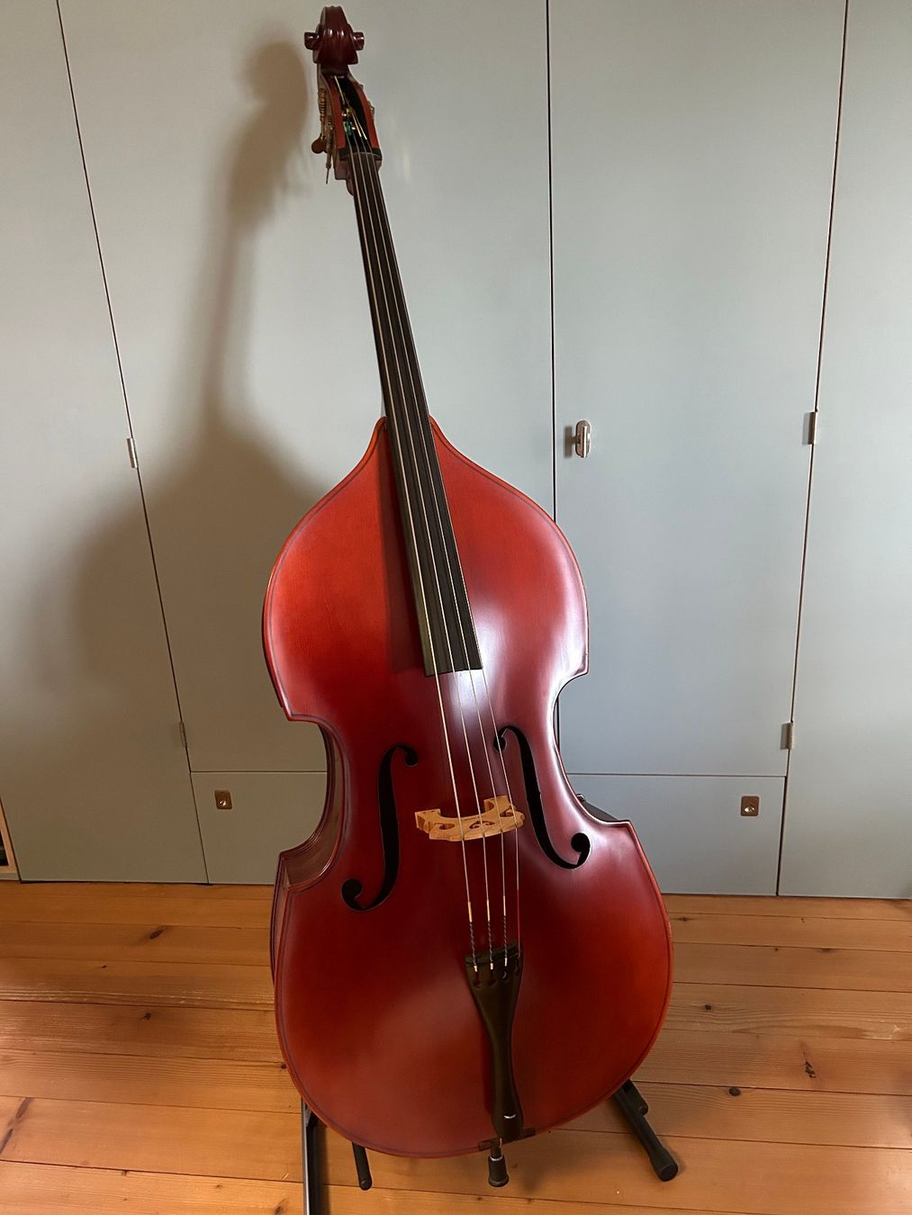 Strumenti musicali: 1/2 Kontrabass mit Futteral, Ständer und Bogen – Usato da Birrwil venduto da rotsch-o-mat