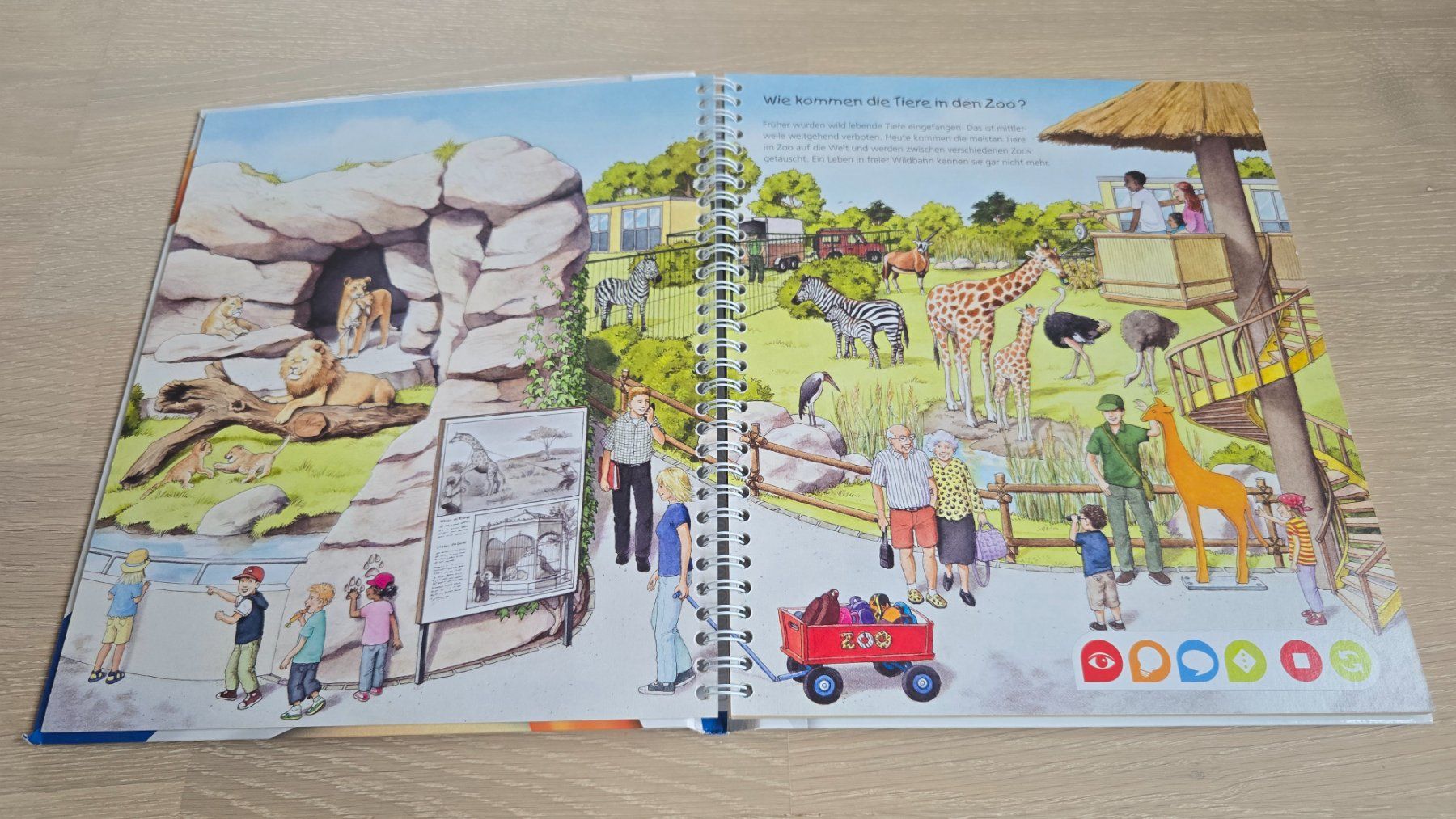 Libri: tiptoi Buch "Entdecke den Zoo" – Usato da Krattigen venduto da Sunradiostef 2