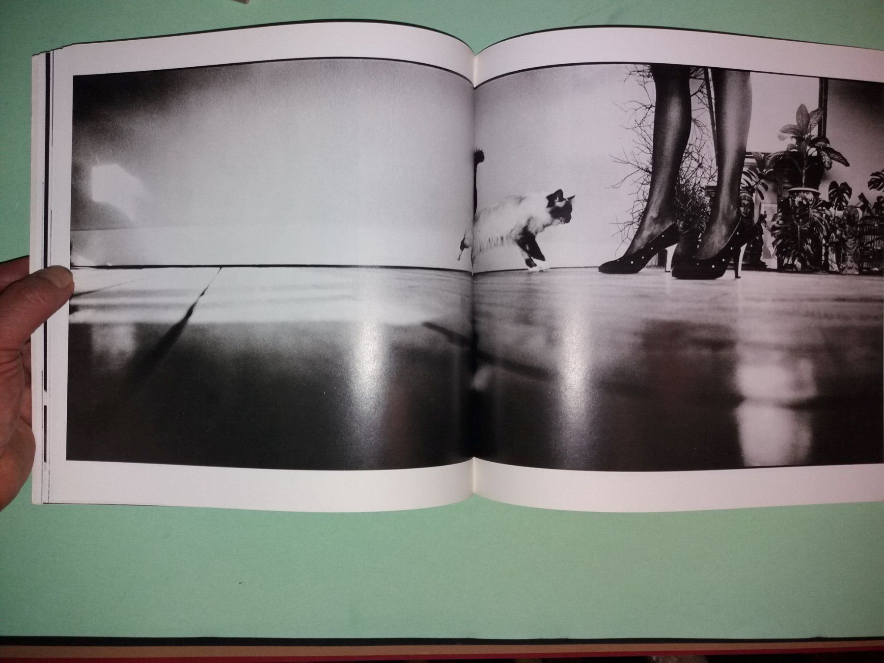 Libri: DAVID  Bailey Fotoklassiker – Usato da Welschenrohr venduto da Regool 6