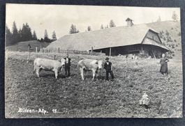 Bützen-Alp. Rüschegg/ Bauernhof, Vieh, Leute/ Fotokarte~1915