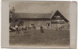 LANDWIRTSCHAFT/BAUERNHAUS 1910 mit Kuh AR/SG?
