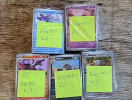 495 Pokemonkarten keine doppel