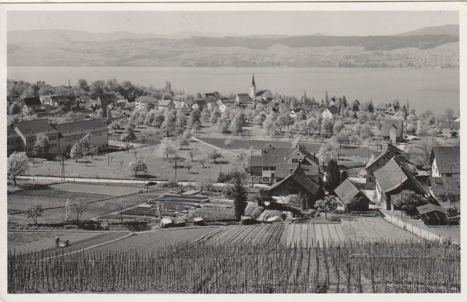 Cartoline postali: Herrliberg – Usato da Rorschacherberg venduto da fratovi2