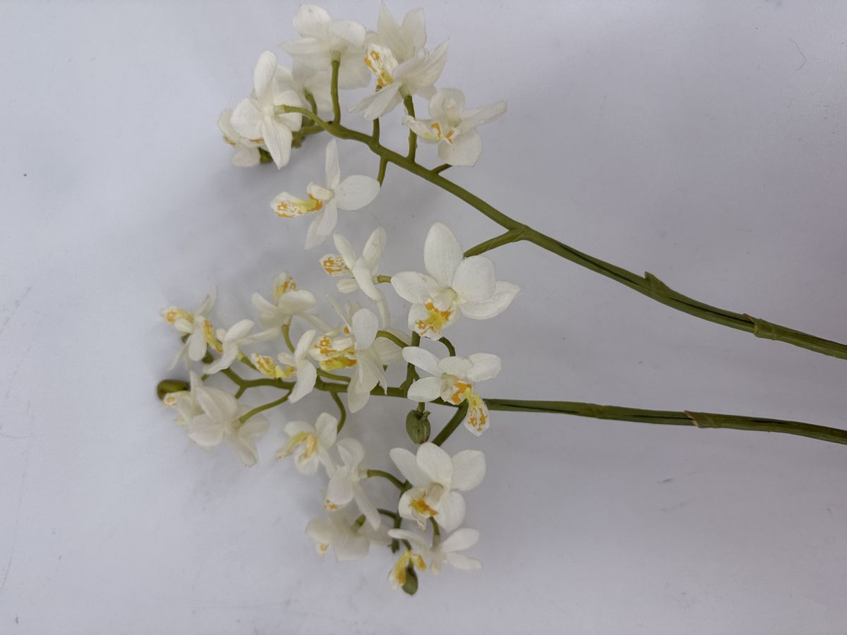 Piante & sementi: Künstliche Orchidee  – Usato da Auenstein venduto da moin. 1