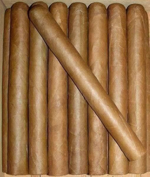 Humidor per sigari: Reisehumidor Leder + Zigarren + Griffins Cutter + Ringbohrer – Nuovo e nell'imballaggio originale da Schmerikon venduto da Fuse4 1