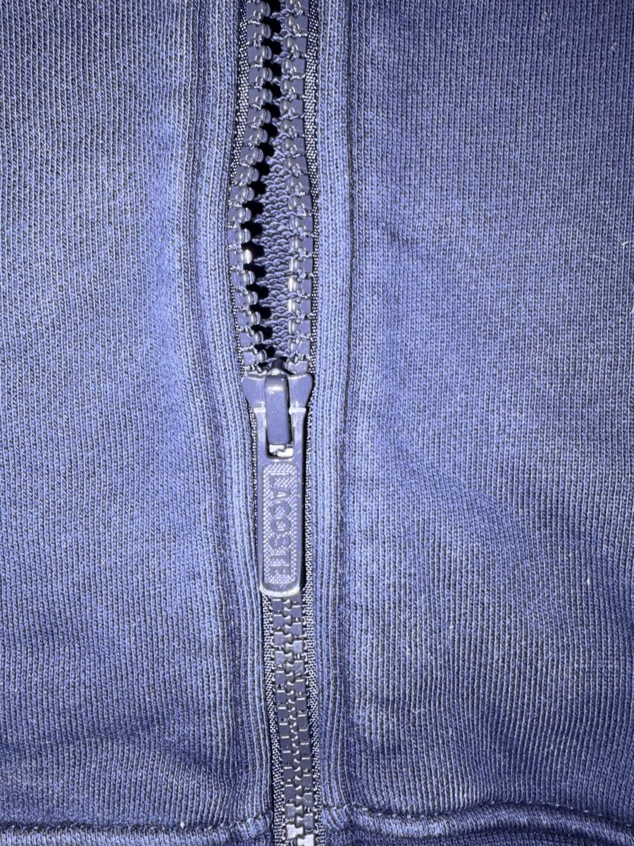 Lacoste Giacche: Lacoste Sweat Jacke (M) – Usato da Volketswil venduto da sam_n6pb 2