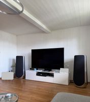 B&O Beolab 50 Lautsprecher Paar silber schwarz