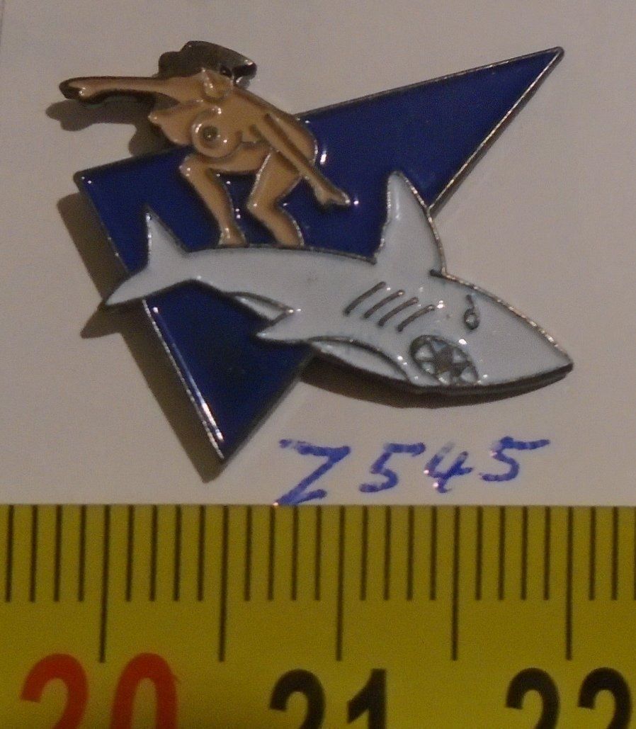Pneus & Kompletträder: 1 Pin (Z545) – Gebraucht aus Winterthur von Beli2000