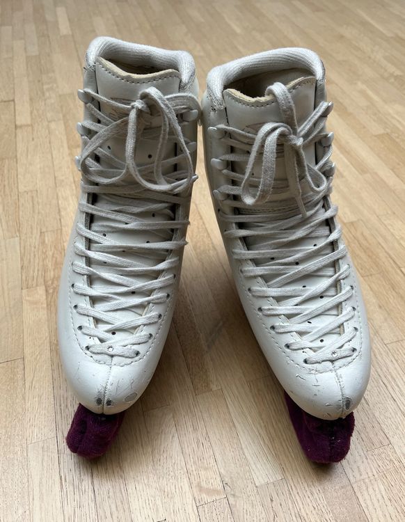 Edea Chorus 240 B mit Jackson Ultima Legacy Light 8 Kufe Kaufen auf