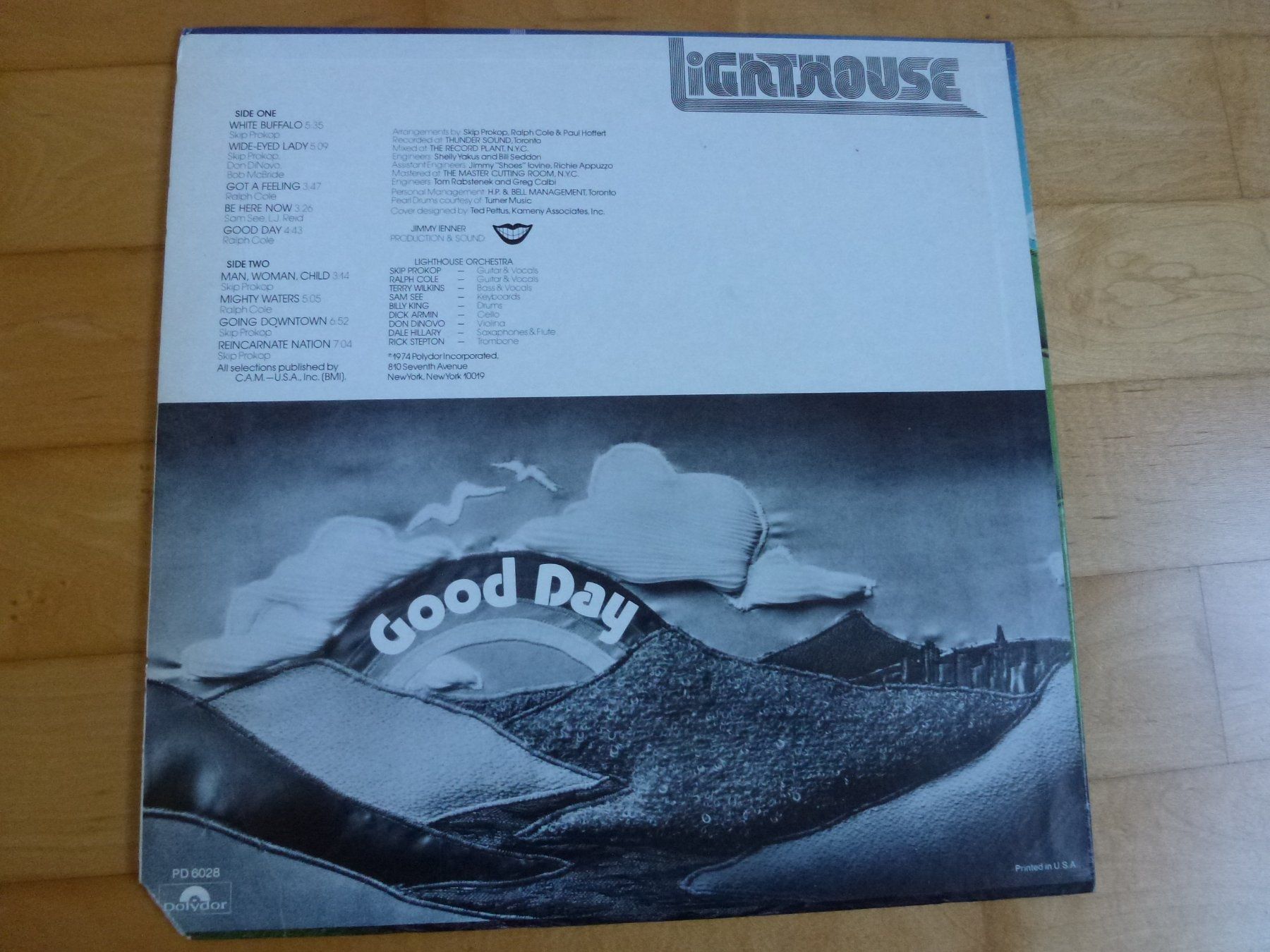 Dischi in vinile: Lighthouse – Good Day – Usato da Bern venduto da Frebo 1