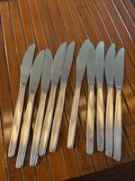 Lot de couteaux en inox