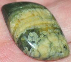 Cabochon L-4132 – Australischer Regenwald Rhyolith 31x20mm