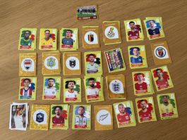 Über 130 Panini Bilder