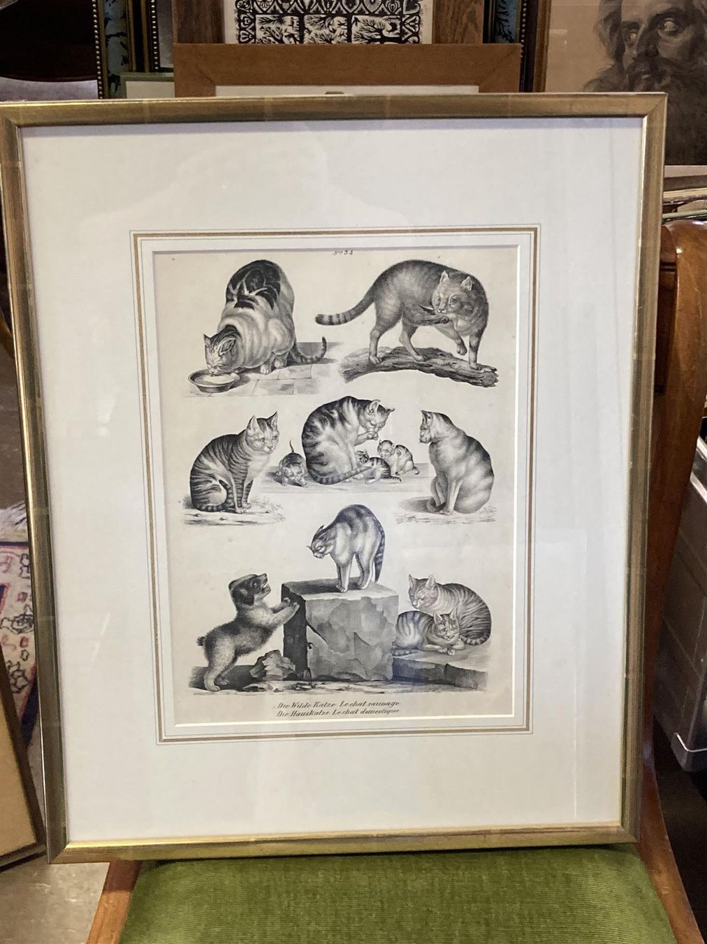 Grafica & Litografie: MIND Gottfried Katzen Litho um 1860 – Usato da Bern venduto da Jwpm66