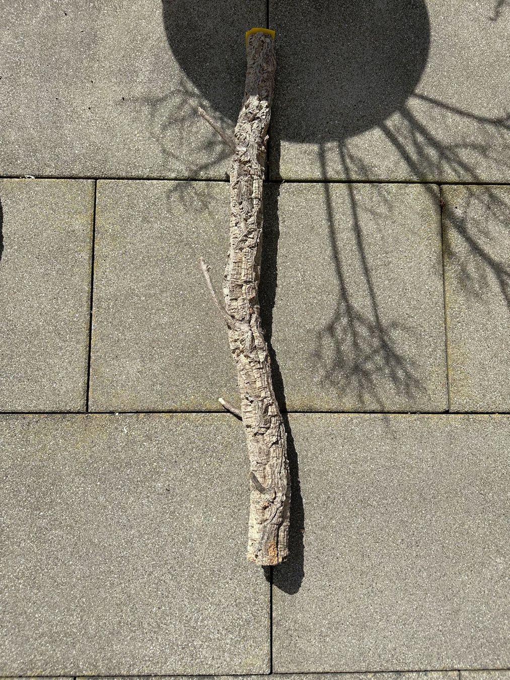 Articoli in legno: Trixie Kork Troncos ca. 87cm Lang & 6cm Durchmesser – Usato da Samstagern venduto da Panizza