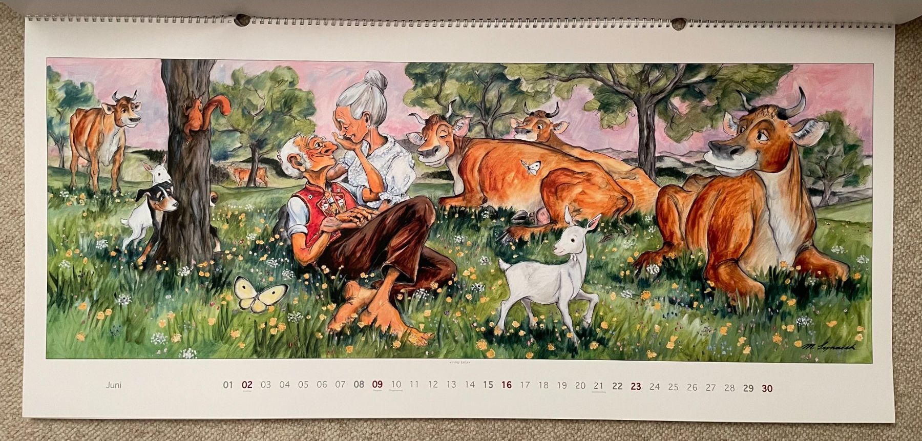 Calendari: Synacek Kalender – Usato da Rümlang venduto da Boehneli7 6