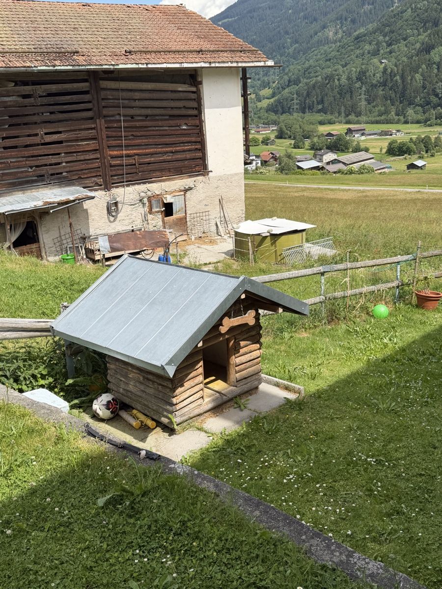 Cucce & Letti: Hundehütte – Usato da Trun venduto da Scooby_04 1