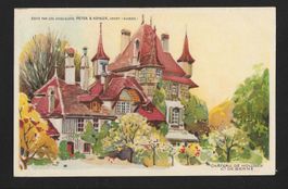Carte Postale Peter & Kohler : CHÃTEAU DE HOLLINGEN (1910s)