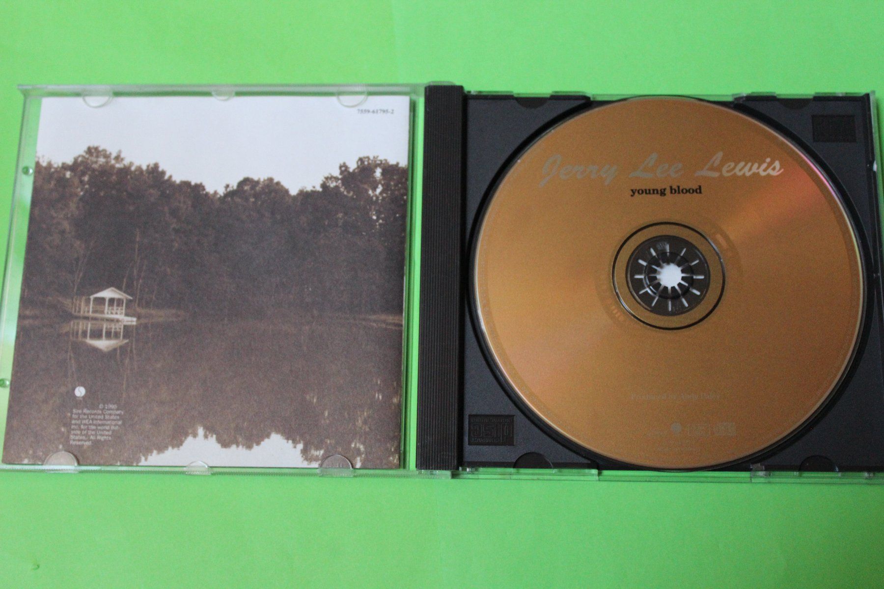 CD: JERRY LEE LEWIS - YOUNG BLOOD CD 1995 – Usato da Tübach venduto da JamesStone 3