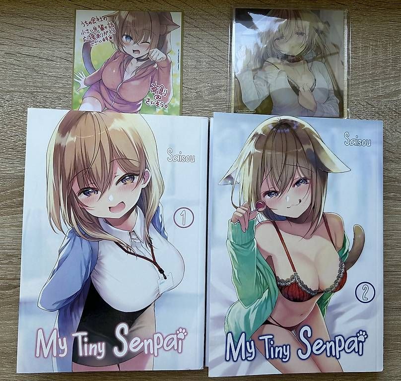 BD: My Tiny Senpai 1-2 (mit Limited Edition) – D'occasion à Arbon par Bobbyx777