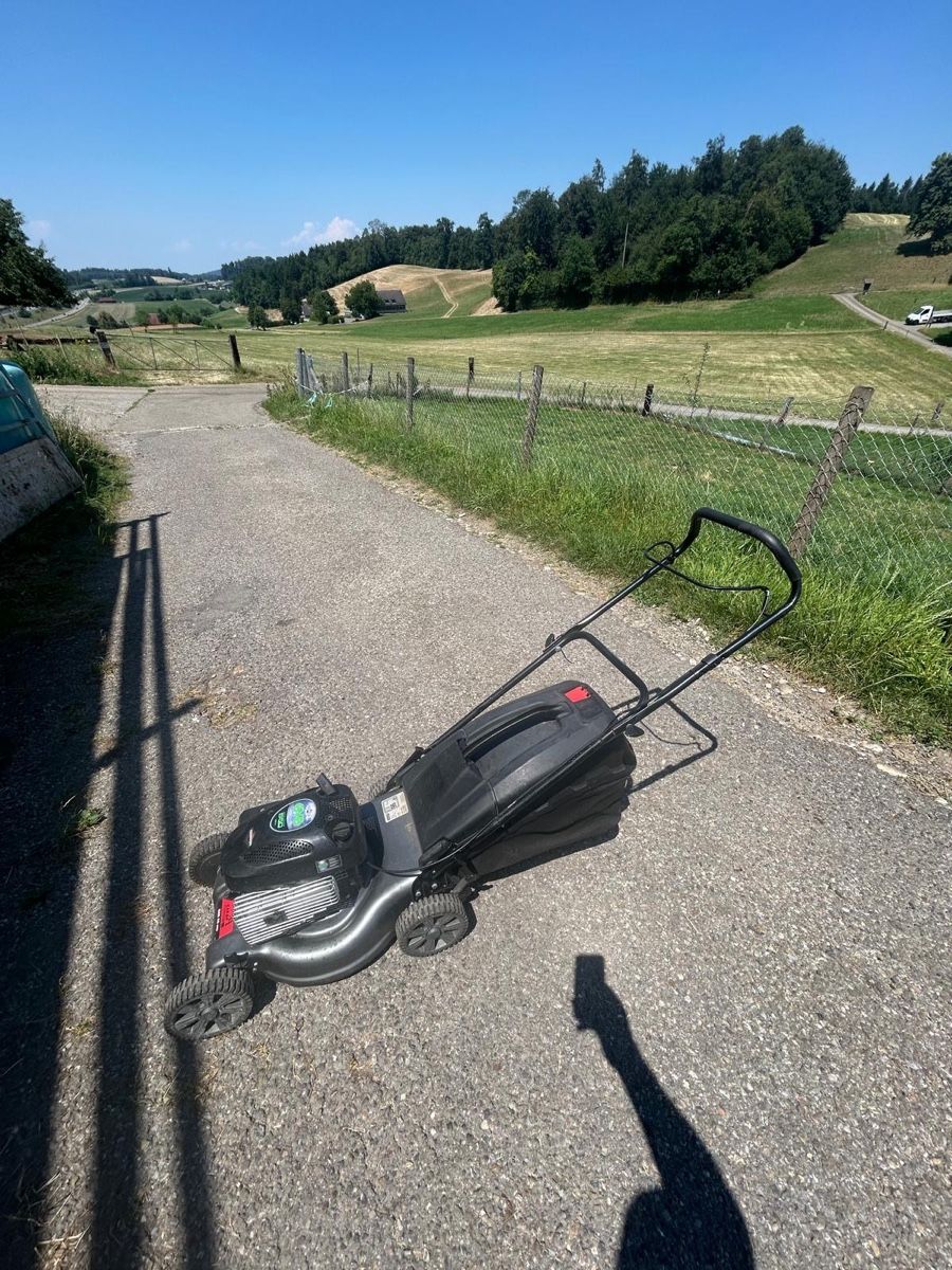 Tagliaerba: 2 Stk. Rasenmäher (Honda & MTD) – Usato da Knonau venduto da Audi_1999 3