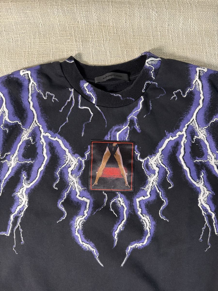 Alexander Wang Maglioni & Felpe: Iconischer Alexander-Wang-Sweatshirt – Usato da Winterthur venduto da eli_d9wl 3