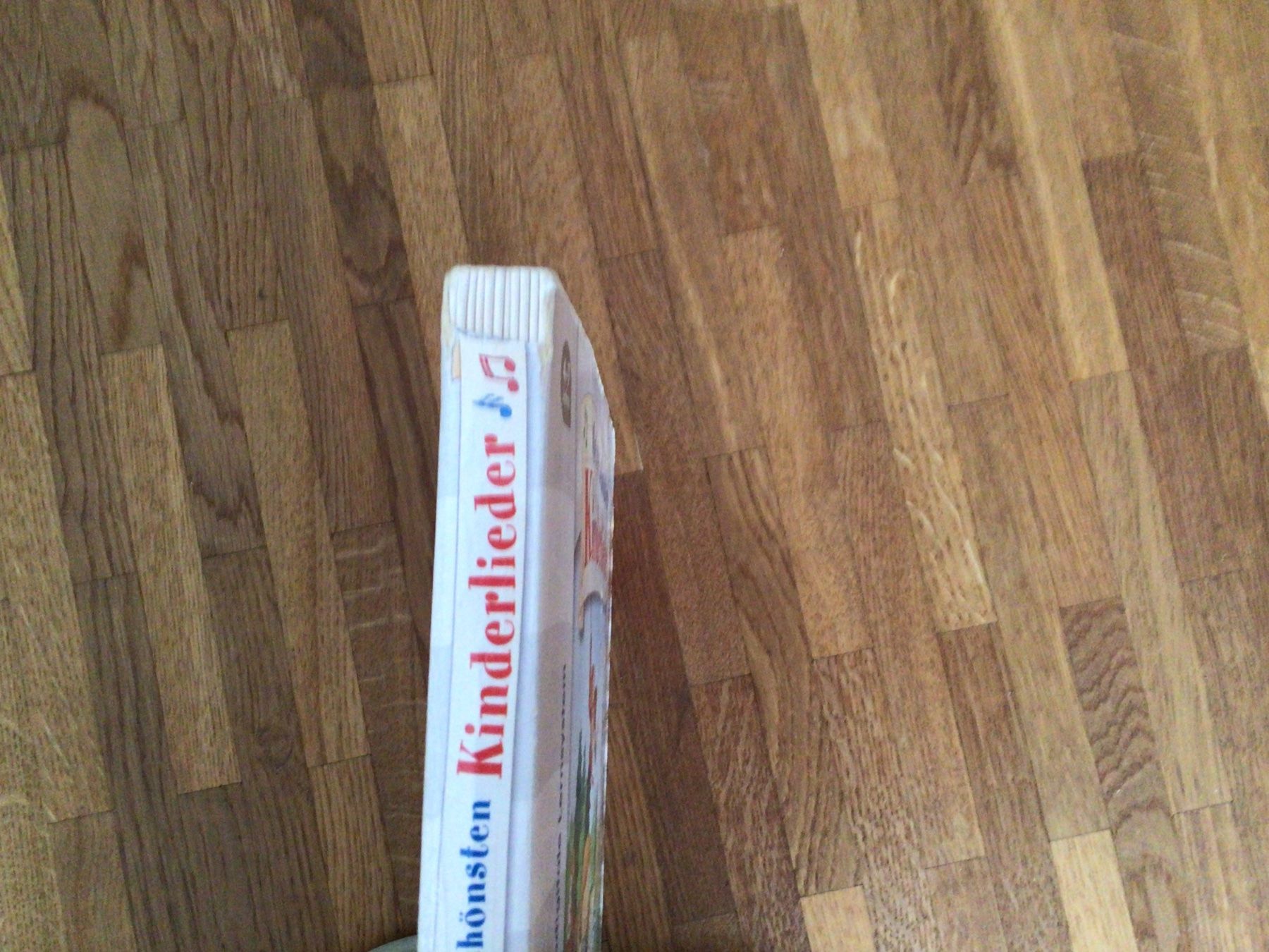 Libri: Tiptoi - Meine schönsten Kinderlieder – Usato da Roggwil BE venduto da Worni52 2