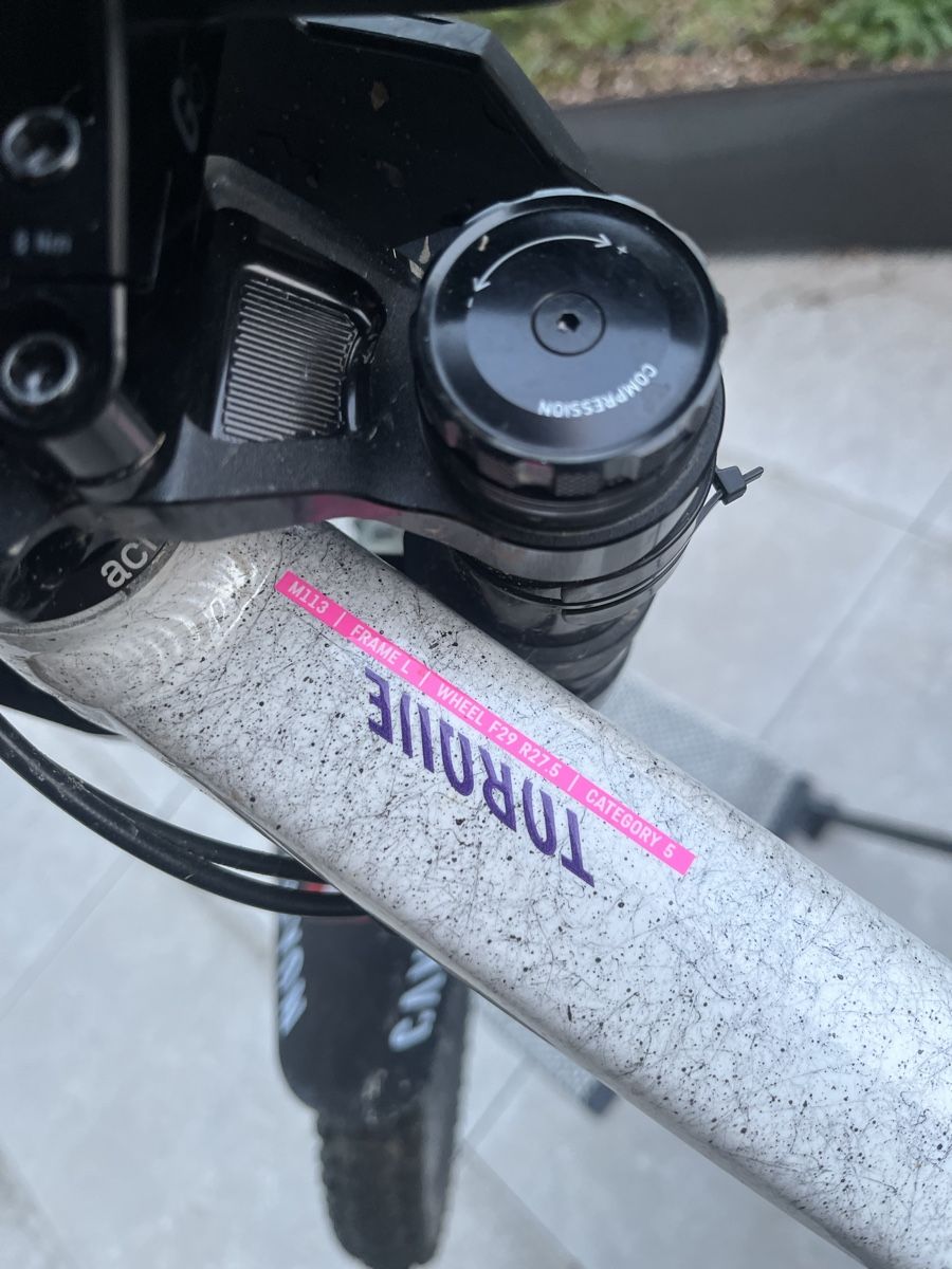 Canyon Biciclette: Canyon Torque dh AL – Usato da Zürich venduto da le_dodo 4