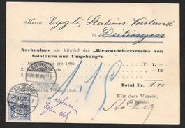 Solothurn illustr. Postkarte Bienenzüchterverein 26.2.1896