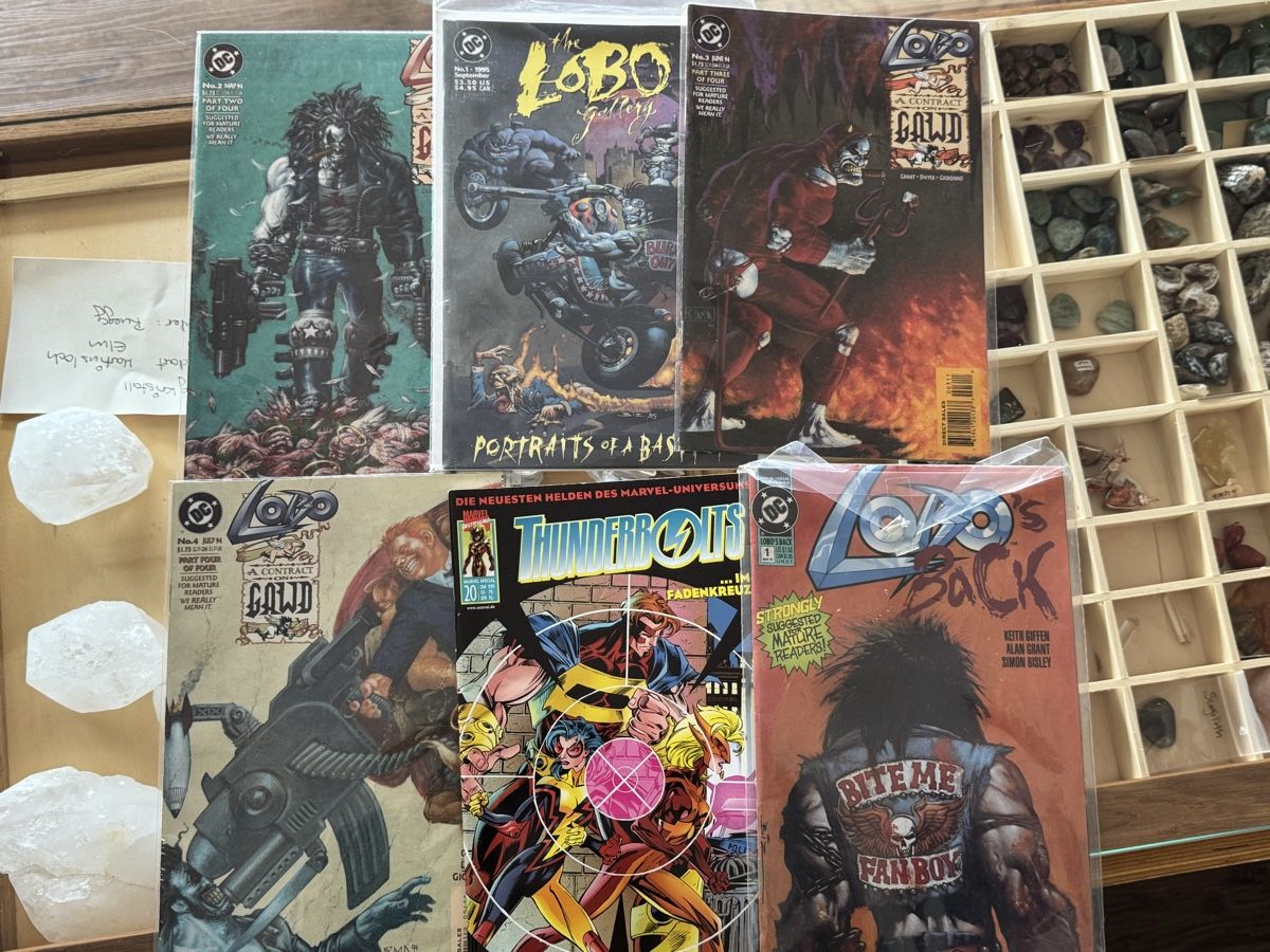 Comics: 88 Lobo Comics – Gebraucht aus Amden von Energiearbeit.Laib 9