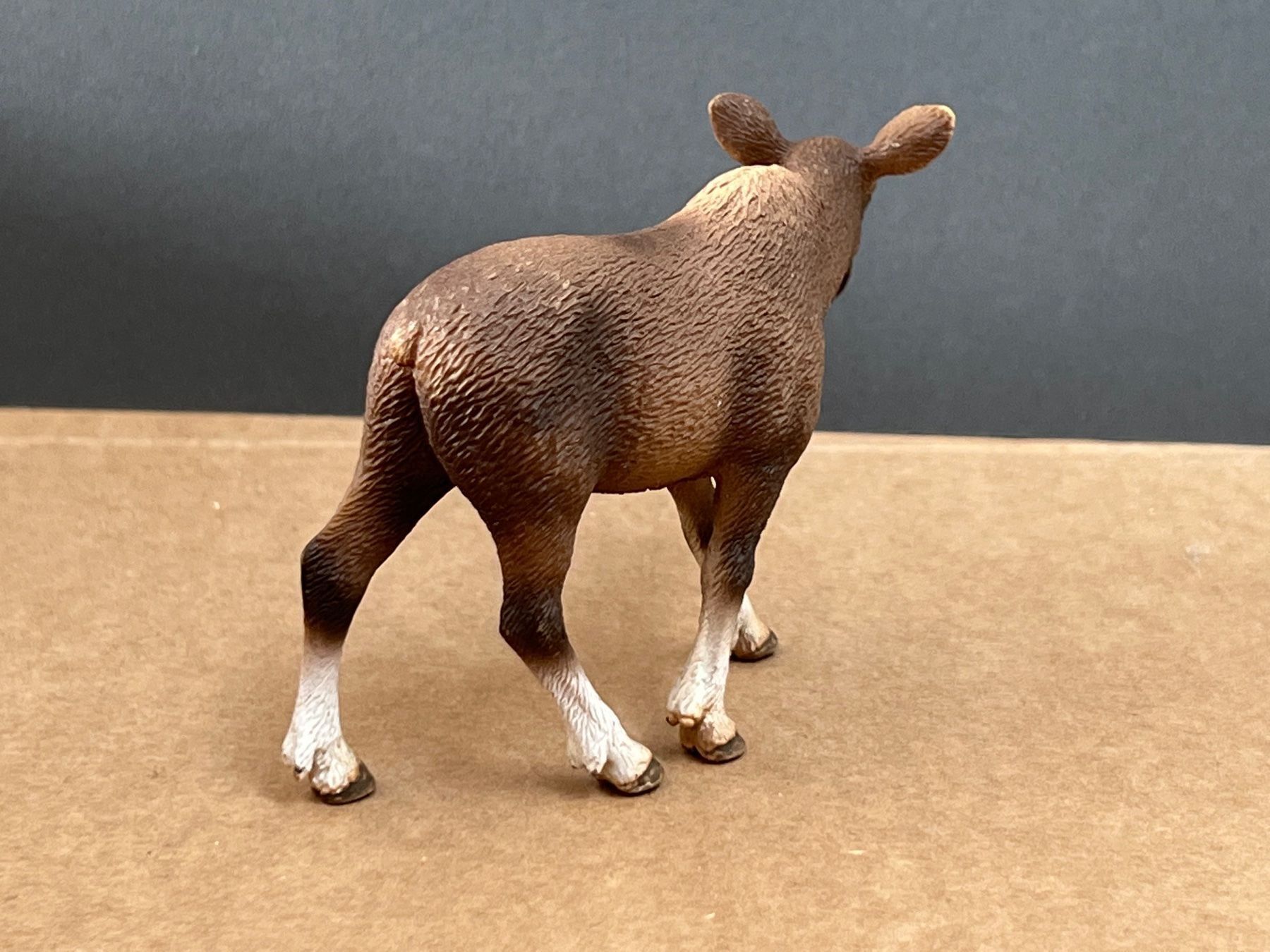 Schleich Statuette: Schleich 14620 Elch Kuh – Usato da Ennetbaden venduto da mapa05 3