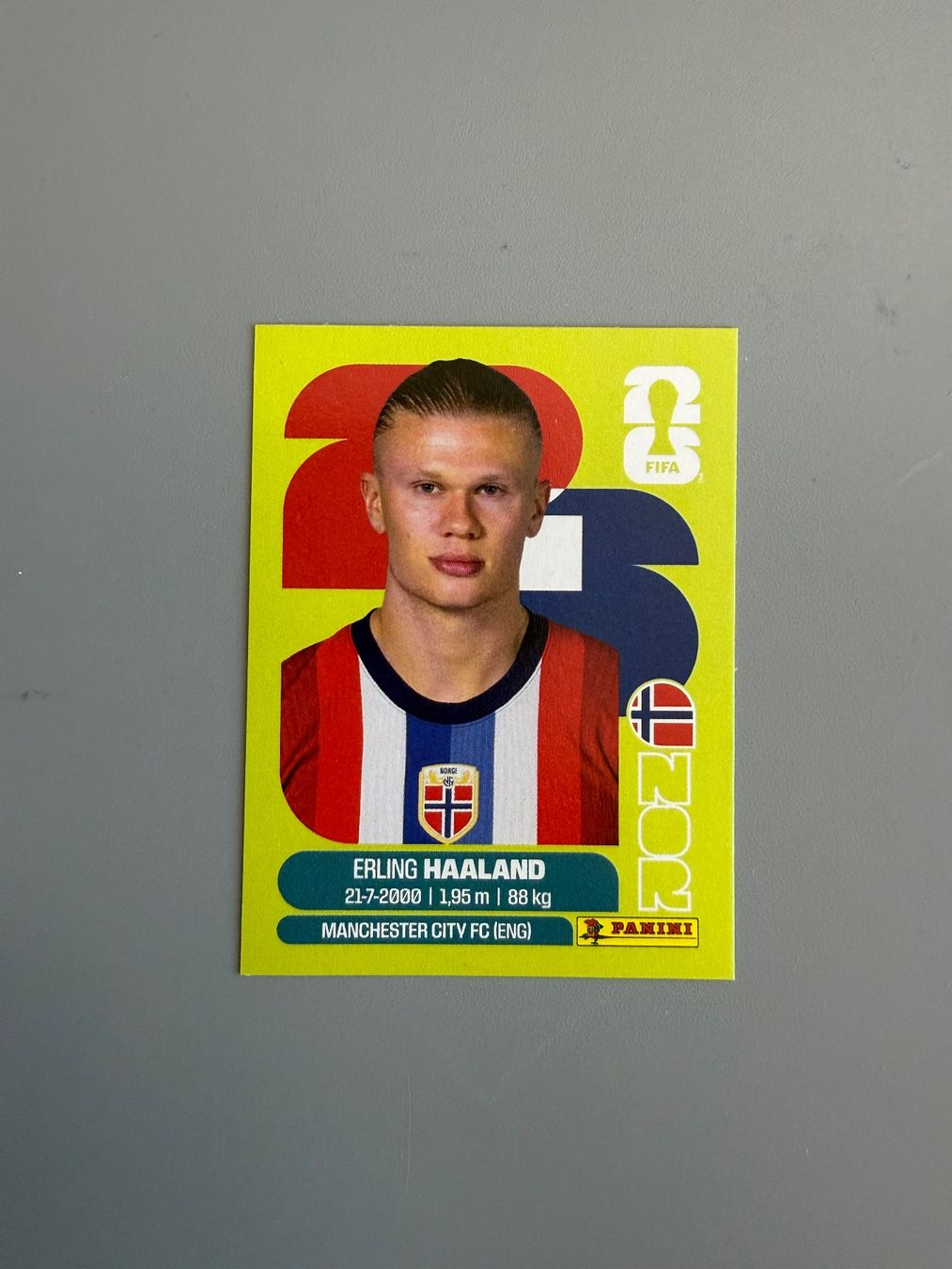 Panini Sammelbilder & Trading cards: Erling Haaland NOR15 – Gebraucht aus Liebefeld von Ronaldo-1996