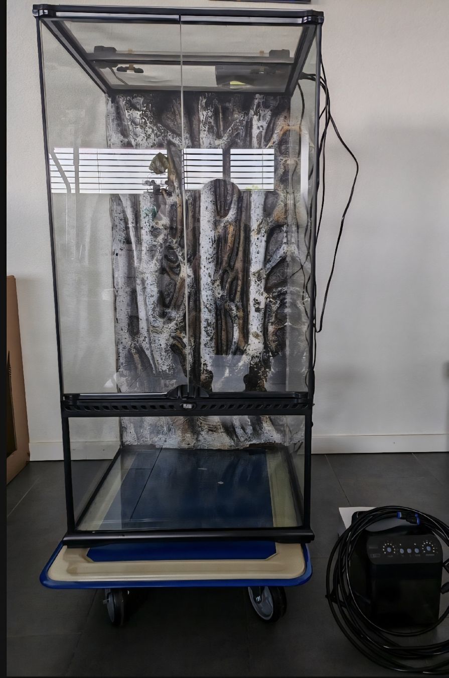 Terrario: exo terra + setup complet  – Nuovo (secondo la descrizione) da Cossonay-Ville venduto da Retsuko
